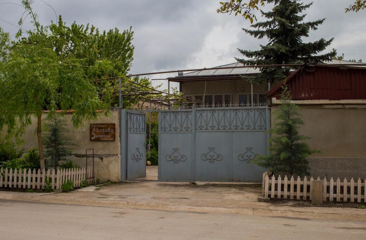 Гостевой дом Savanna Guest House Dedoplis Tskaro-32